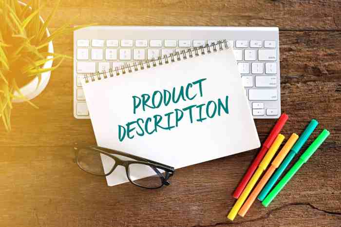 Product Descriptions Guide